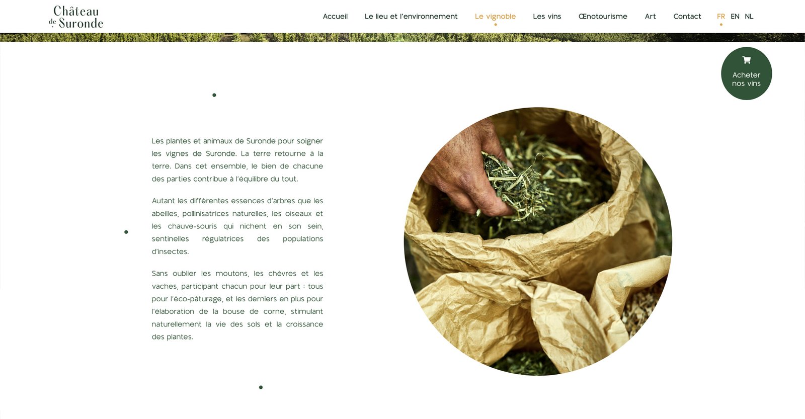 Page du site internet du Château de Suronde