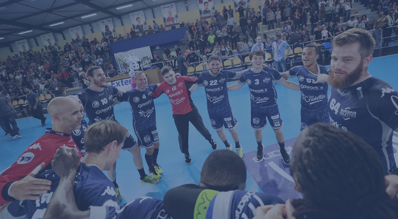 Joueur professionnel de handball – AJPH